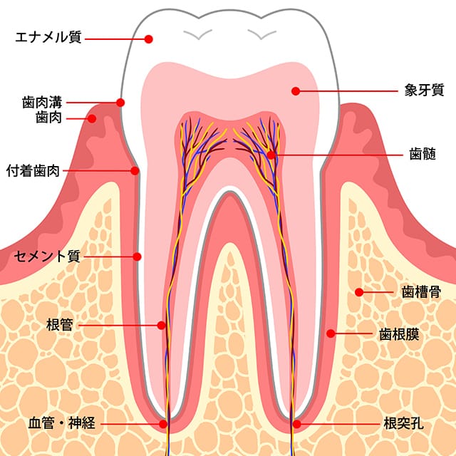 根管治療